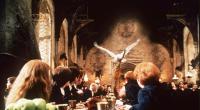 Aus den Harry-Potters-Stars sind erwachsene Männer und Frauen geworden.