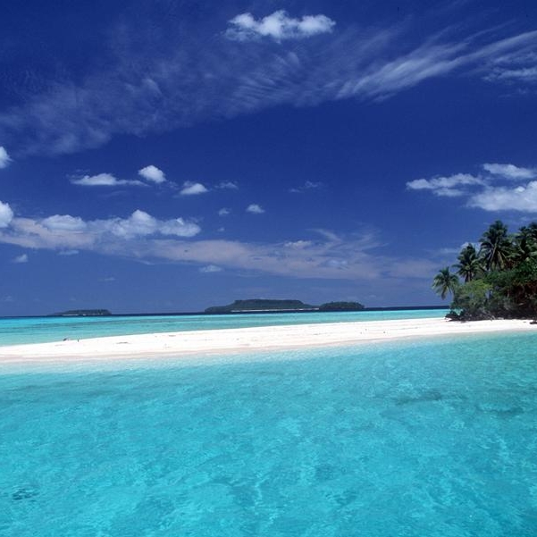 Pinkeln Sie ins Meer! Das ist gesund!