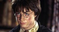 Eine Harry-Potter-Werbung der ukrainischen Regierung sorgt für Entsetzen.