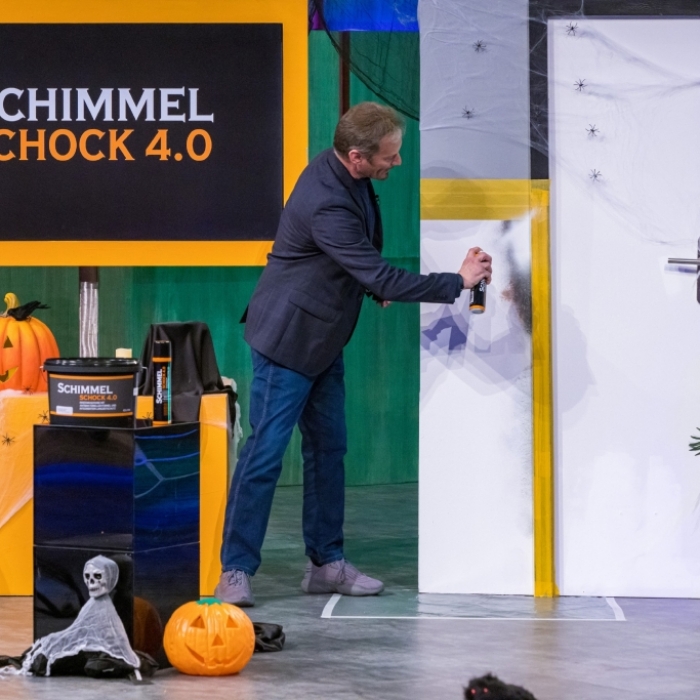 Geruchslos, schnell, langfristig? Das taugt die DHDL-Anti-Schimmelfarbe wirklich