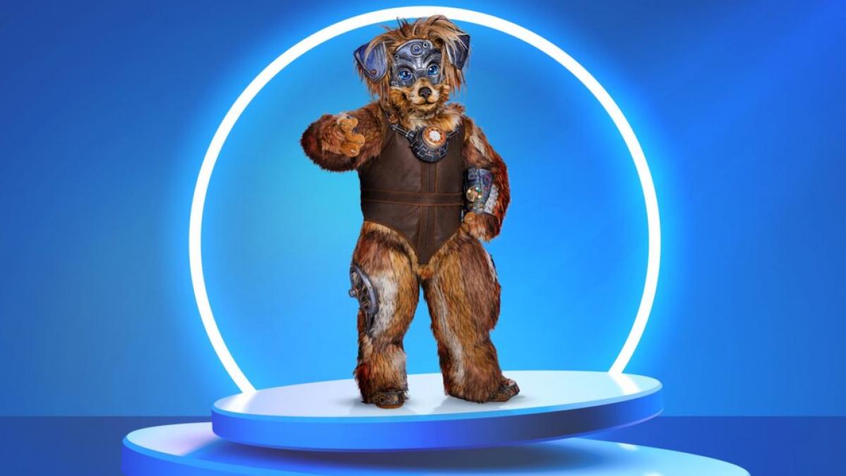 Bis er sich seinen Traum von einer Karriere als Sicherheitshund erf&uuml;llen kann, erobert Robodog die "The Masked Singer"-Welt in Staffel 10. (Foto)