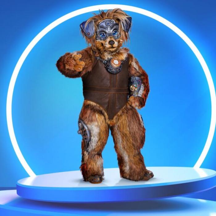 Robodog ließ Fan-Herzen schmelzen - dieser Promi verbarg sich in der Maske