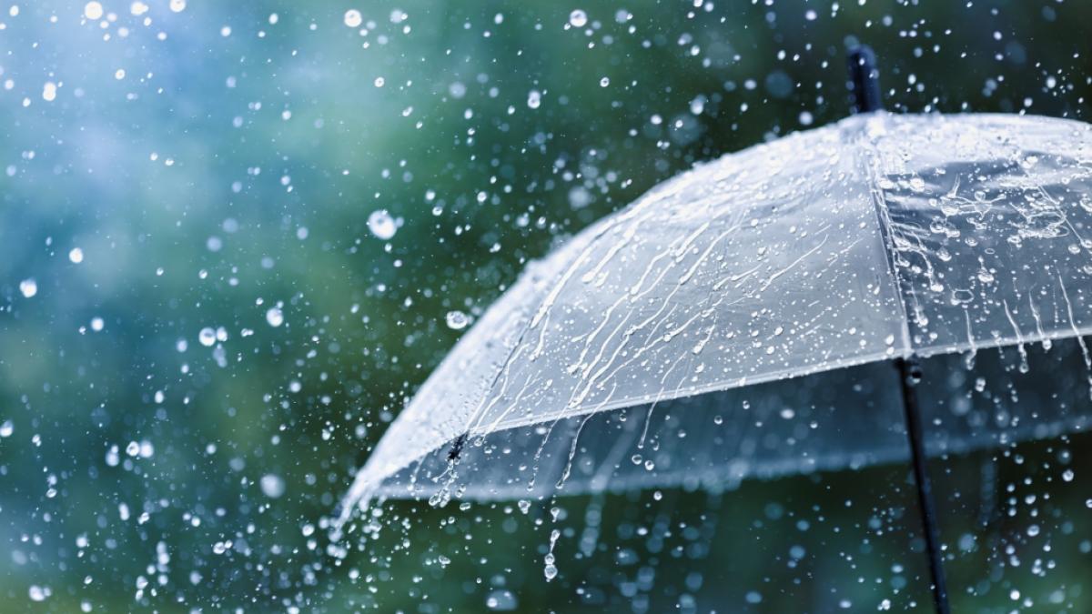 Es ist mit Regenschauern zurechnen. (Foto)