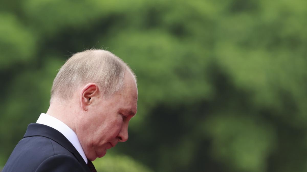 Wladimir Putin soll im Ukraine-Krieg "mehr als ein Dutzend" Panzerfahrzeuge an einem Tag verloren haben. (Foto)