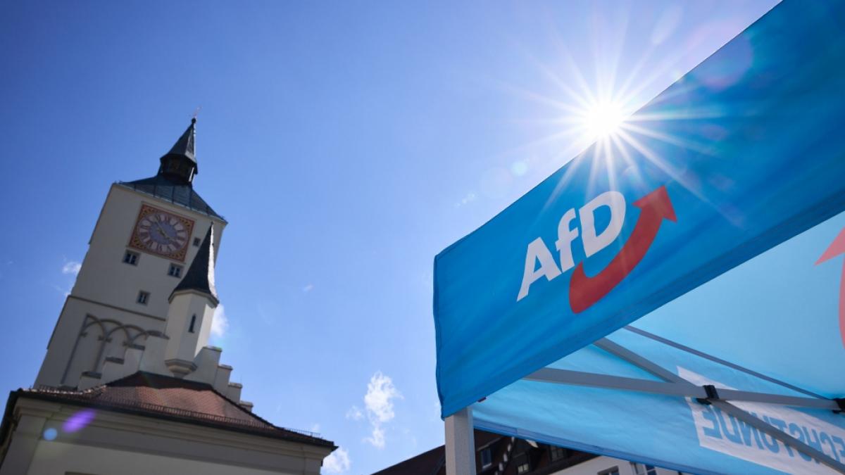 Die AfD schmiert in Umfragen zur Europawahl immer weiter ab. Es drohen finanzielle Einbu&szlig;en. (Foto)