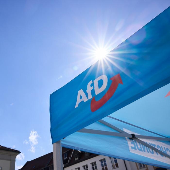 Umfrage-Absturz kann teuer werden - Rechtspopulisten bangen um Geld vom Staat