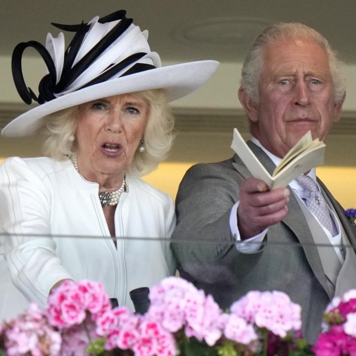 Diese heimliche Leidenschaft der Königsgemahlin bringt König Charles auf die Palme