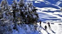 Die Biathlon-Weltcup-Saison 2022/23 geht vom 8. bis 11. Dezember 2022 in Hochfilzen in eine neue Runde.