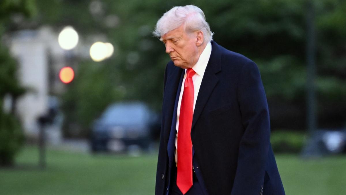 Donald Trump: Gegen seine Politik werden immer mehr Stimmen lauter. Ist das noch eine Demokratie? (Foto)