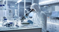 Forscher haben das hämorrhagische Simian-Fieber-Virus in Affen entdeckt.