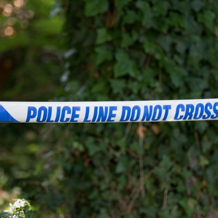 Baby (5 Wochen) tot im Wald gefunden - Vater (32) unter Mordverdacht
