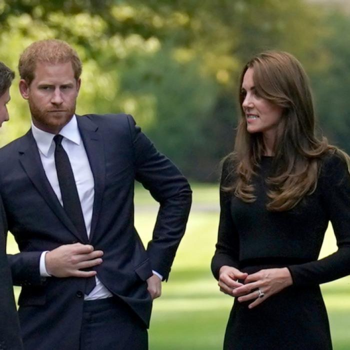 Körpersprache spricht Bände - wusste Prinz Harry hier schon längst Bescheid?