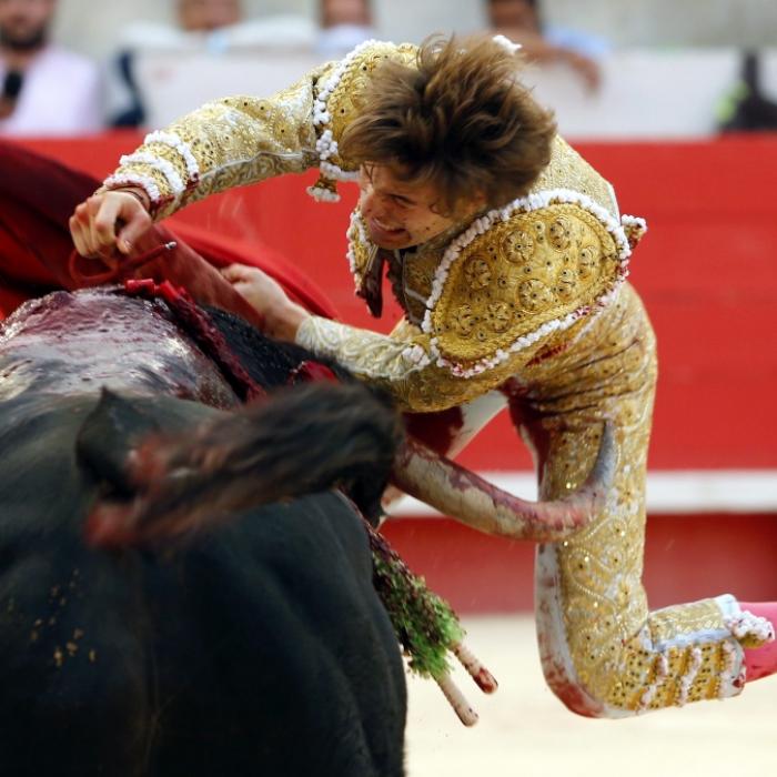 Horror-Video! Stier spießt Torero am Hintern auf