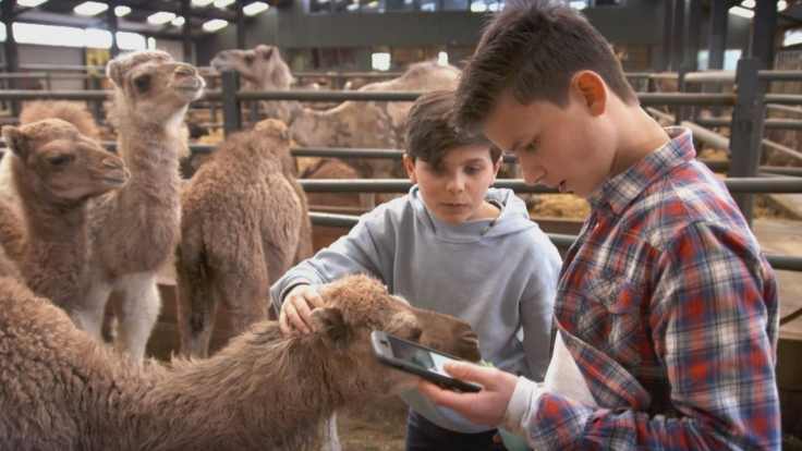 Tierdetektive bei KiKA
