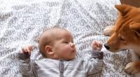 Ein vier Monate junges Baby kam in Ohio auf tragische Weise durch den Familienhund zu Tode.