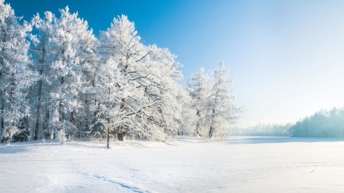 K&ouml;nnen wir uns im Januar 2022 auf winterliches Wetter freuen? (Foto)