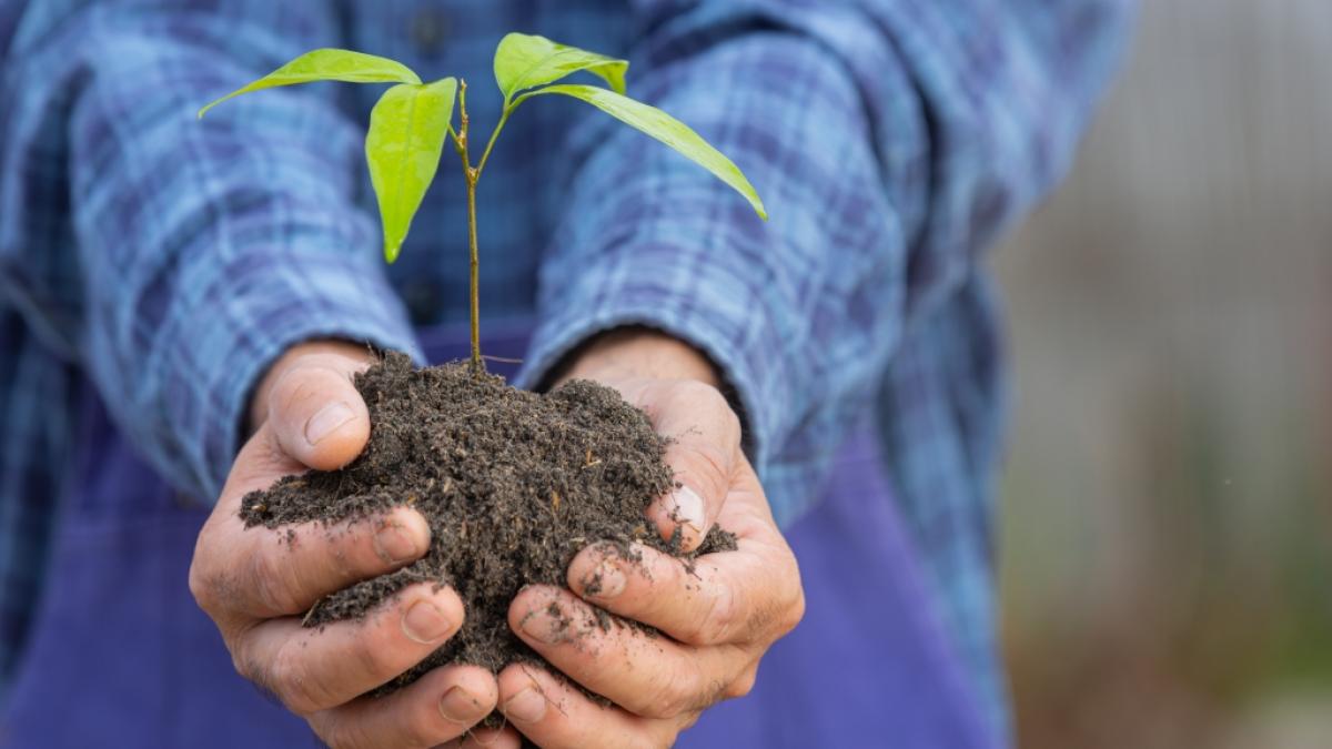 Trauer um Peter Seabrook: Der Gartenexperte der BBC ist mit 86 Jahren gestorben (Symbolbild). (Foto)