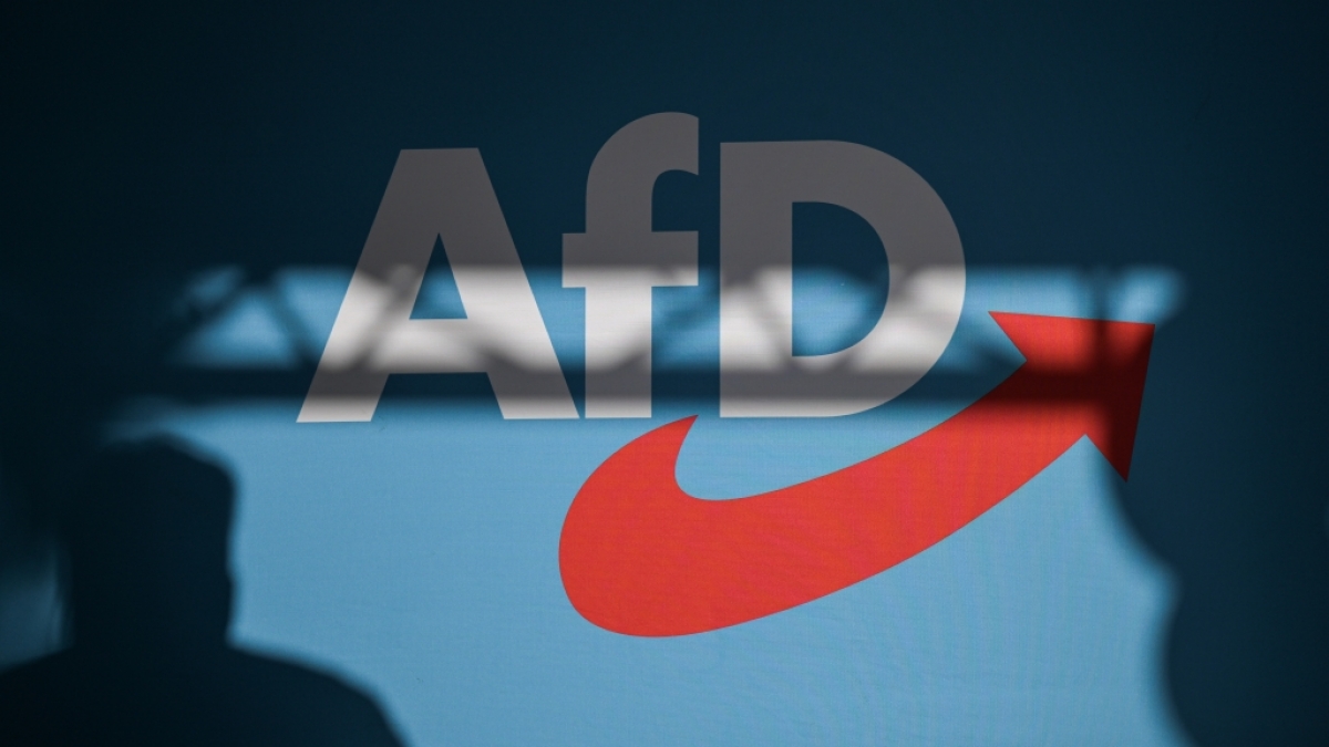 Die AfD erhielt eine Gro&szlig;spende &uuml;ber 35.000 Euro (Symbolbild). (Foto)