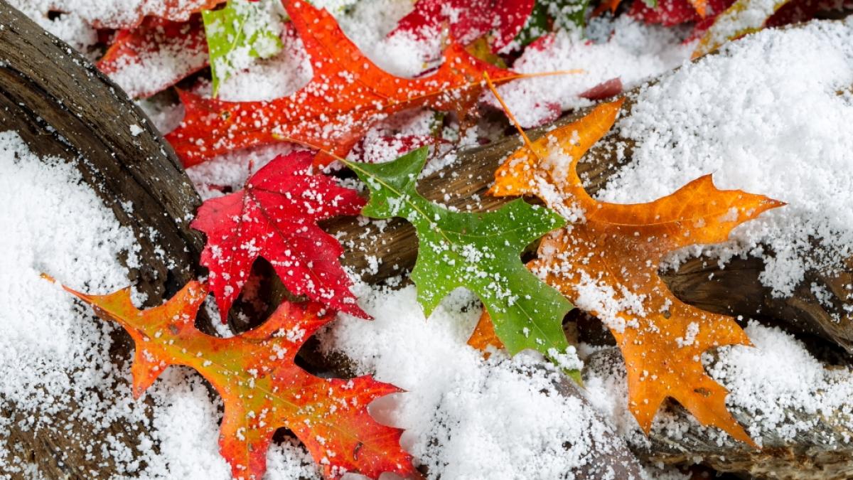 Schl&auml;gt der Winter im November bereits eiskalt zu? (Foto)