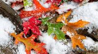 Schlägt der Winter im November bereits eiskalt zu?