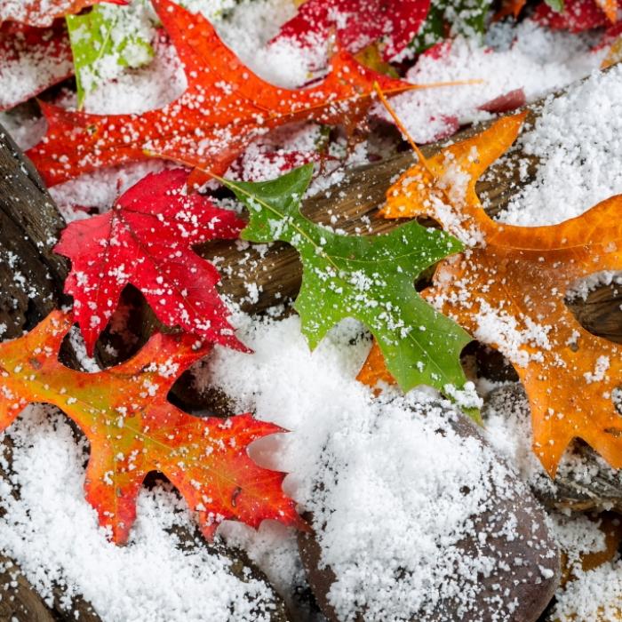 Eiskalter Wintereinbruch? Das sagt der 100-jährige Kalender 