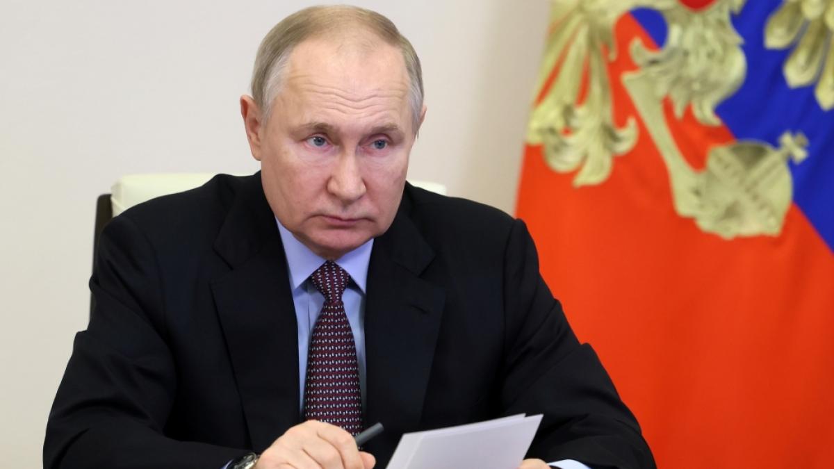 Das d&uuml;rfte Wladimir Putin gar nicht gefallen: Britische Marinesoldaten haben in der Ukraine an "hochriskanten" verdeckten Operationen teilgenommen. (Foto)