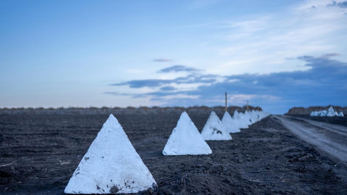 Mit Drachenz&auml;hnen versucht die Ukraine eine geplante Russen-Offensive aufzuhalten. (Foto)