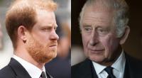 Zwischen Prinz Harry und König Charles III. flogen in den Royals-News gehörig die Fetzen.