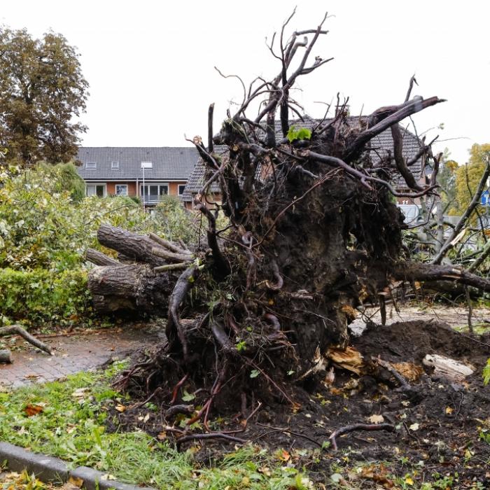 Wetter-Monster frisst 