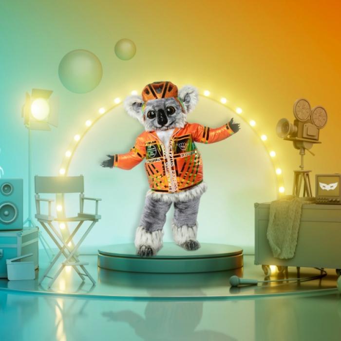 Einfach zum Knuddeln! Dieser internationale Promi war der TMS-Koala