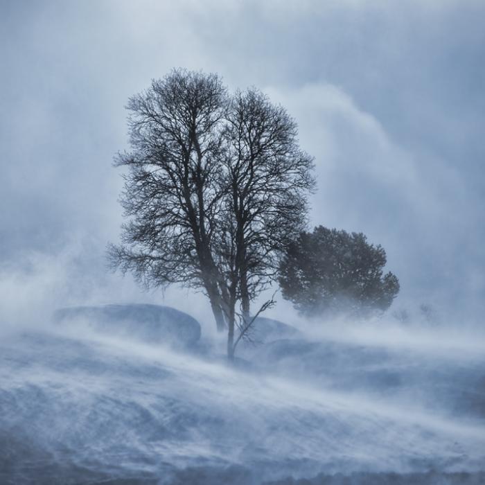 Schnee-Monster an Weihnachten? Meteorologen befürchten Mega-Orkan