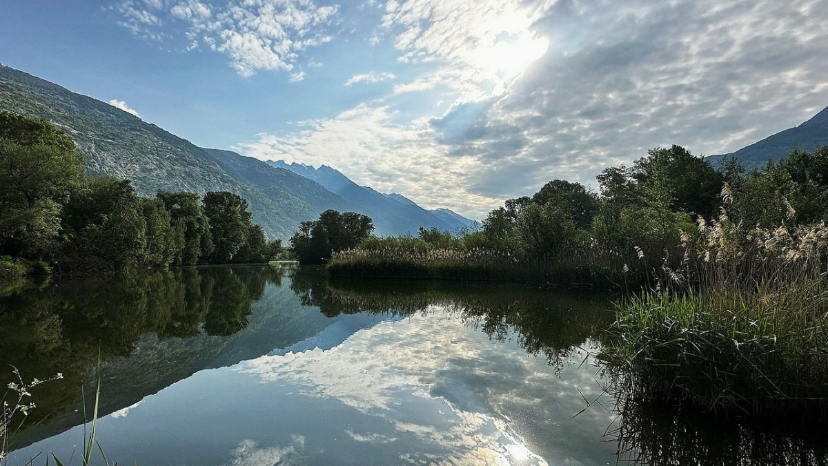 Schweizer Naturpark "Pfyn-Finges" - Rendez-vous im Park bei 3sat (Foto)