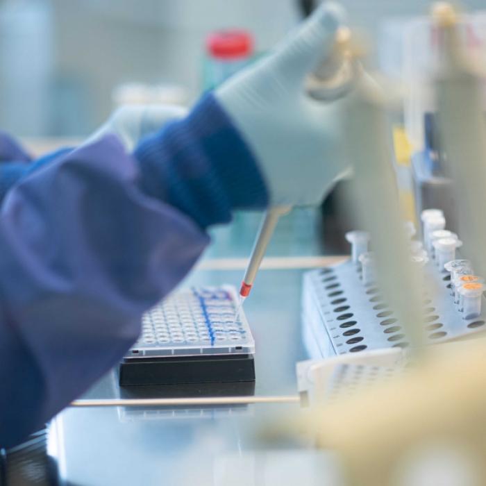 Wissenschaftler entdecken Riesenvirus - es befällt diese Organismen