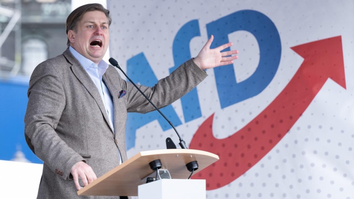Maximilian Krah spricht auf einer AfD-Kundgebung. (Foto)