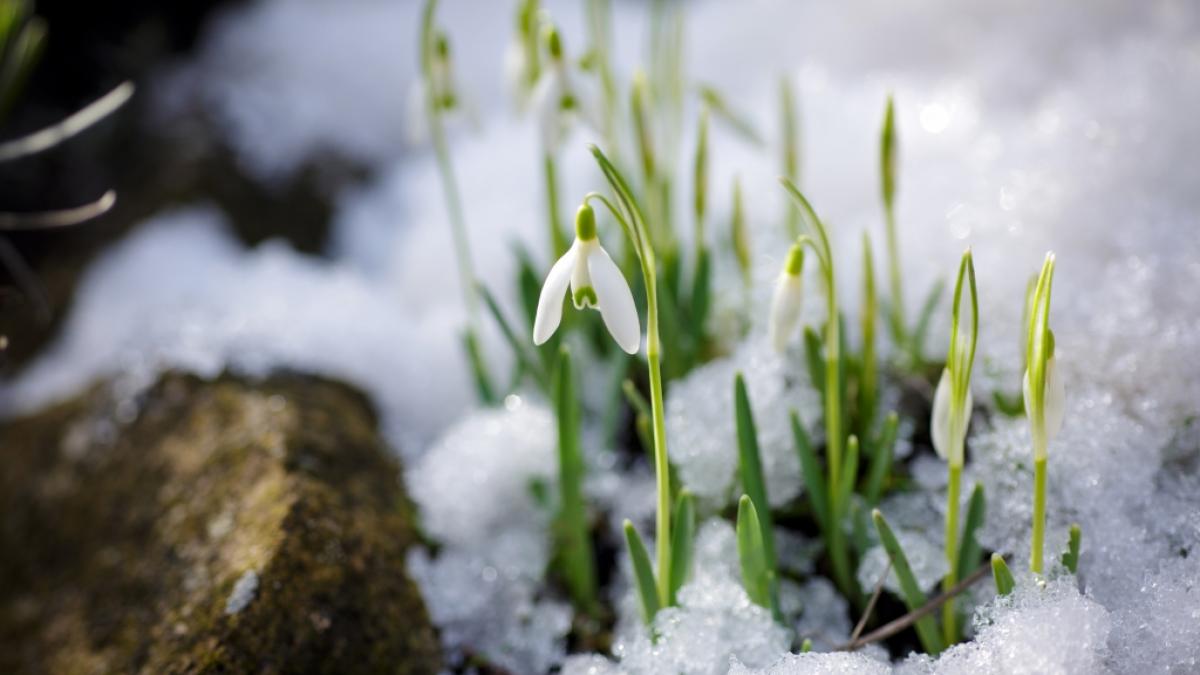 Droht Deutschland ein M&auml;rzwinter? (Foto)