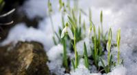 Droht Deutschland ein Märzwinter?