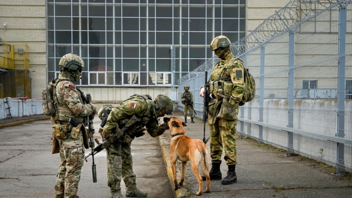 Dass Wladimir Putins Soldaten im Ukraine-Krieg Hunde streicheln, sieht das von ukrainischen Streitkr&auml;ften sichergestellte Handbuch nicht vor. (Foto)