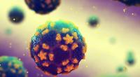 Polio-Wildviren in Deutschland nachgewiesen.