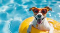 Mit den Hundstagen beginnt traditionell die heißeste Phase des Sommers – Meteorologen rechnen auch in diesem Jahr wieder mit steigenden Temperaturen.