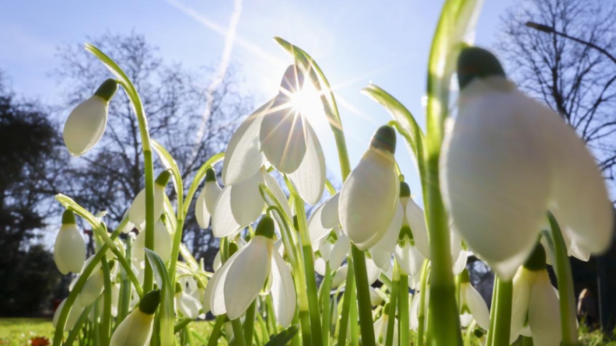 Sonne satt und Temperaturen deutlich &uuml;ber der 20-Grad-Marke sorgen bereits Ende Februar 2026 f&uuml;r Fr&uuml;hlingsegef&uuml;hle. (Foto)