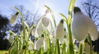 Sonne satt und Temperaturen deutlich über der 20-Grad-Marke sorgen bereits Ende Februar 2026 für Frühlingsegefühle.