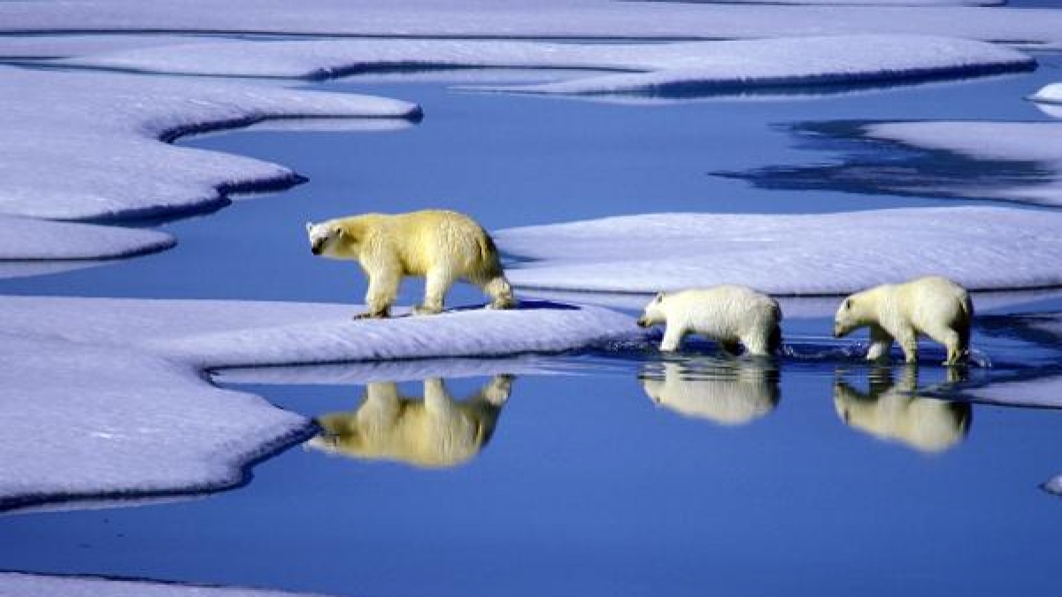 Bisher gab es vor allem Tiere, K&auml;lte und Eis: Doch in den lebensfeindlichen Polargebieten beginnt nun der menschliche Wettlauf um Rohstoffe. (Foto)