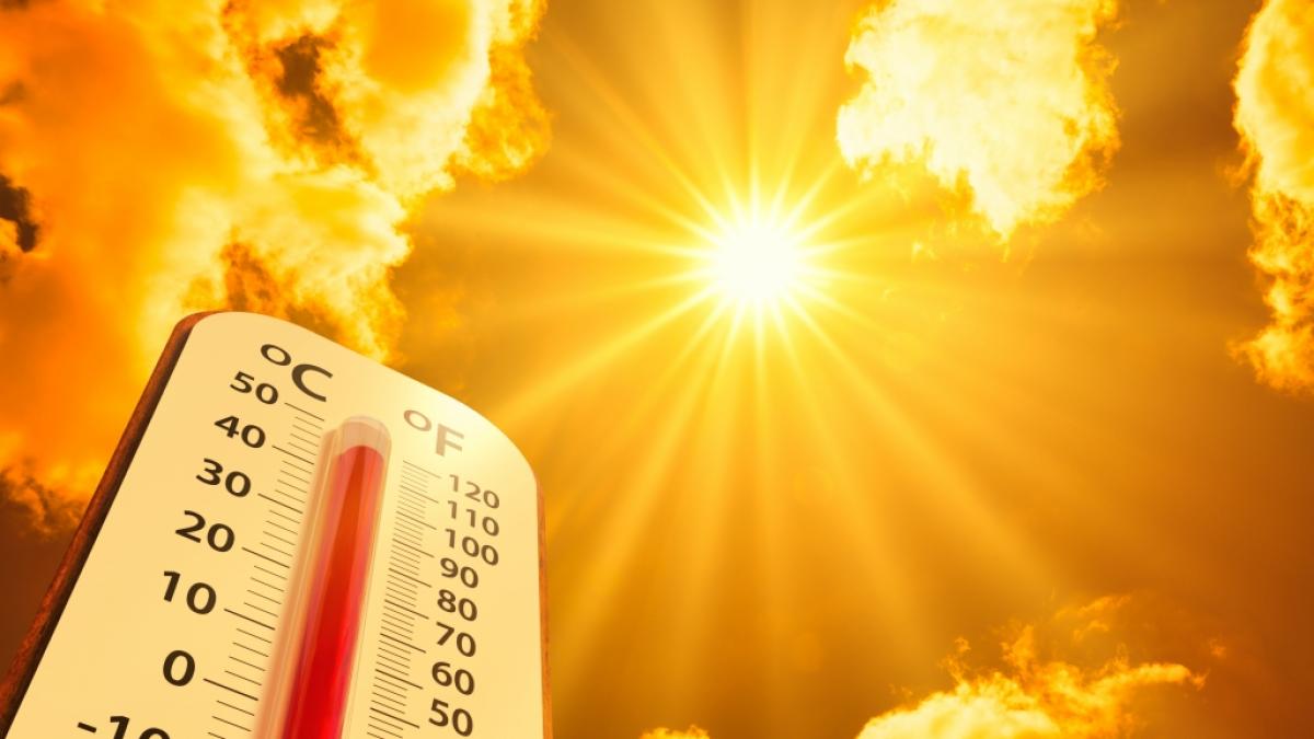 Nach der n&auml;chsten Hitzewelle k&ouml;nnte der Sommer vorbei sein. (Foto)