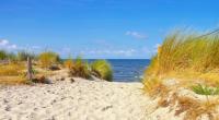 Mecklenburg-Vorpommern meldet den ersten Toten durch eine Infektionen mit Vibrionen. Die Bakterien lauern in der Ostsee und können bei Risikogruppen unter anderem zu Organversagen führen (Symbolbild).