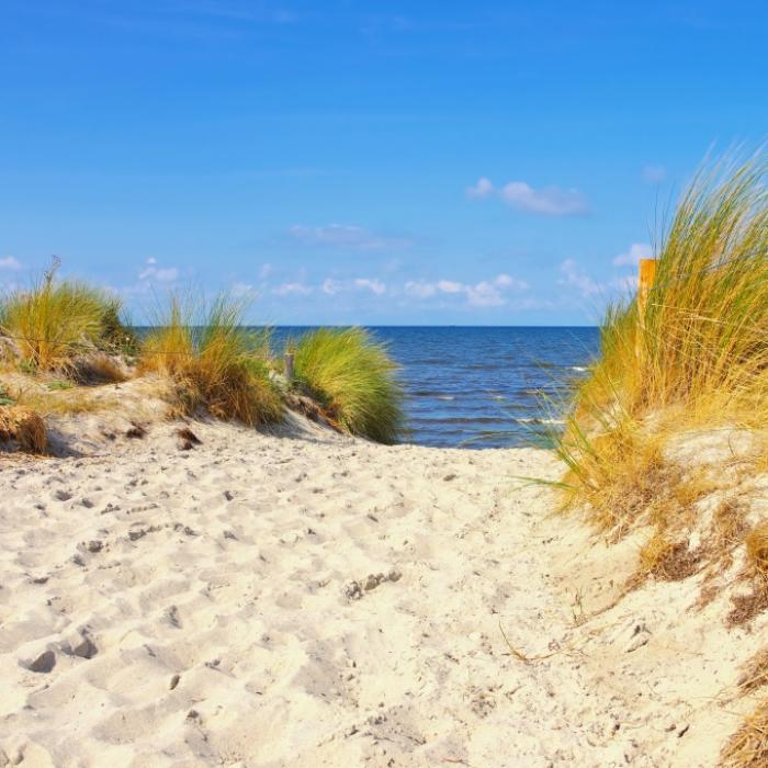 Nach Ostsee-Bad: Mann (68) stirbt durch gefährliche Keim-Infektion