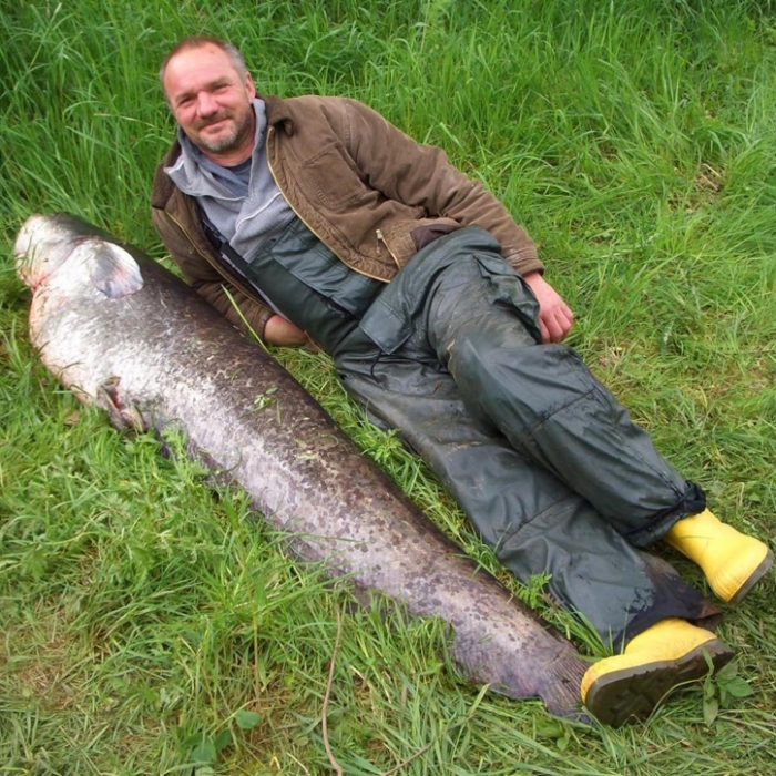 Riesen-Fisch an der Angel: Diese Bilder sind wirklich echt