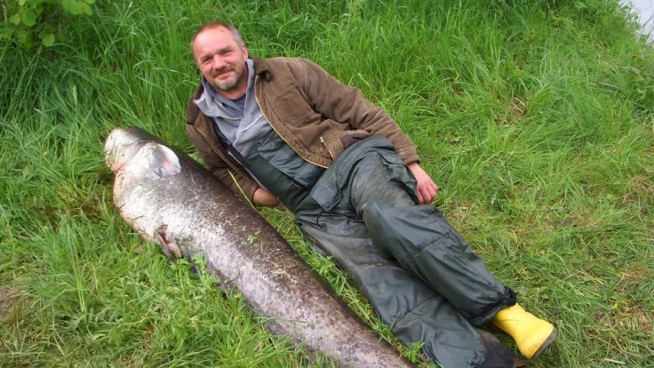 Der Angler Peter Mayer liegt neben einem von ihm geangelten Wels.