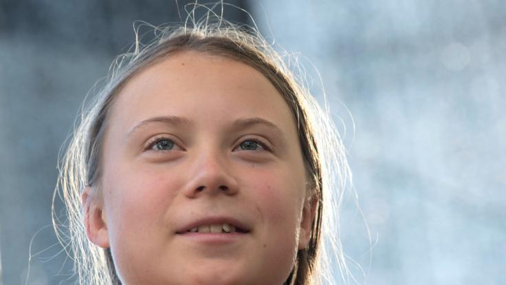 Greta Thunberg polarisiert.