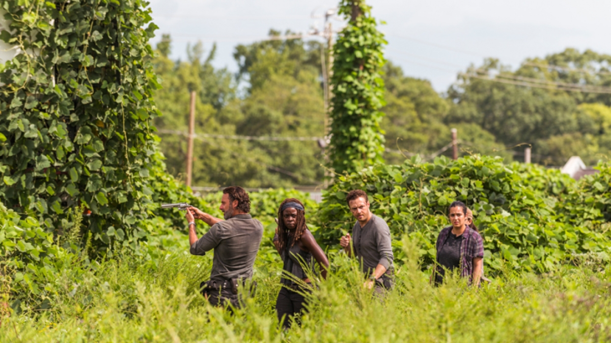 K&ouml;nnen Rick und Co. Negan und die Saviors bek&auml;mpfen? (Foto)