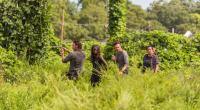 Können Rick und Co. Negan und die Saviors bekämpfen?